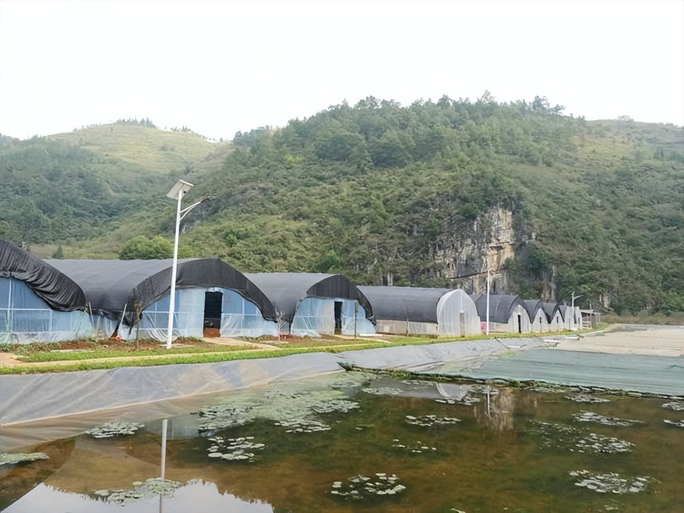 水蛭立体养殖箱制作材料,牡丹江水蛭立体养殖