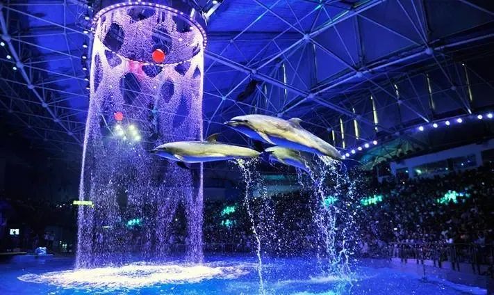 大连旅游攻略3天2夜住宿,大连旅游攻略视频