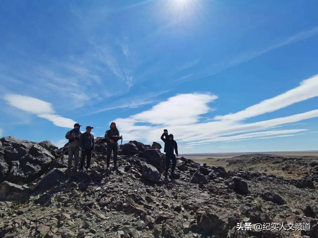 草原看野生动物,独家探访野生动物
