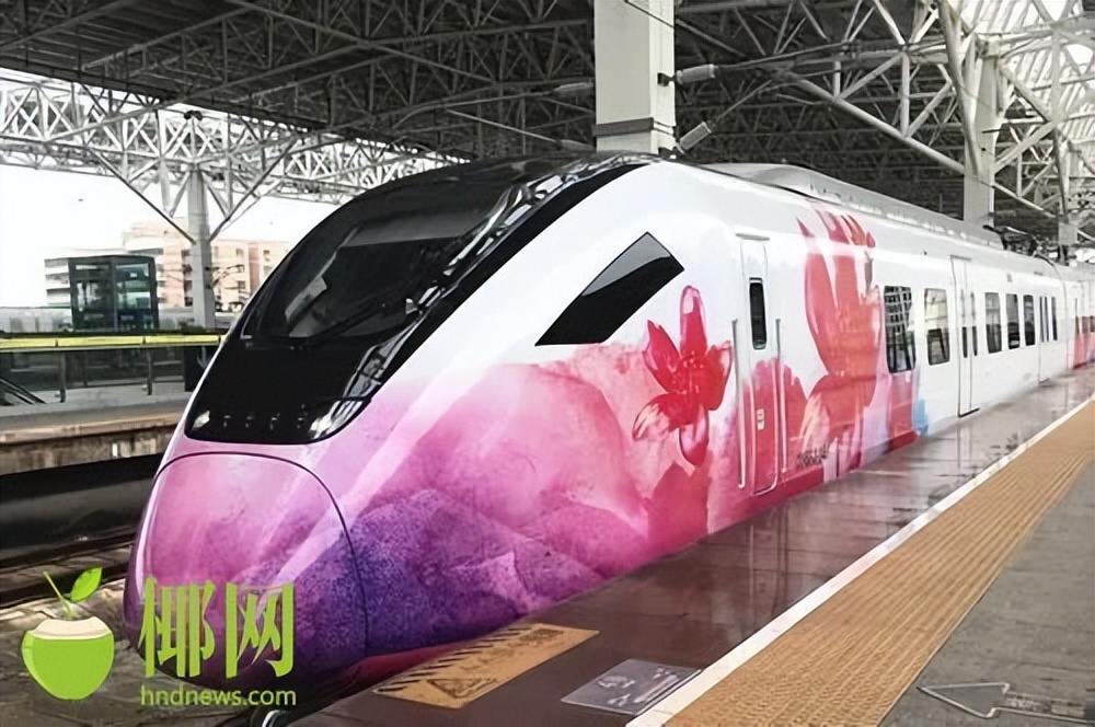 海口消博会交通指引,海口逛消博会请收好这份交通攻略