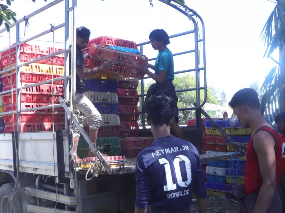 缅甸疫情严峻,缅甸疫情食物购买