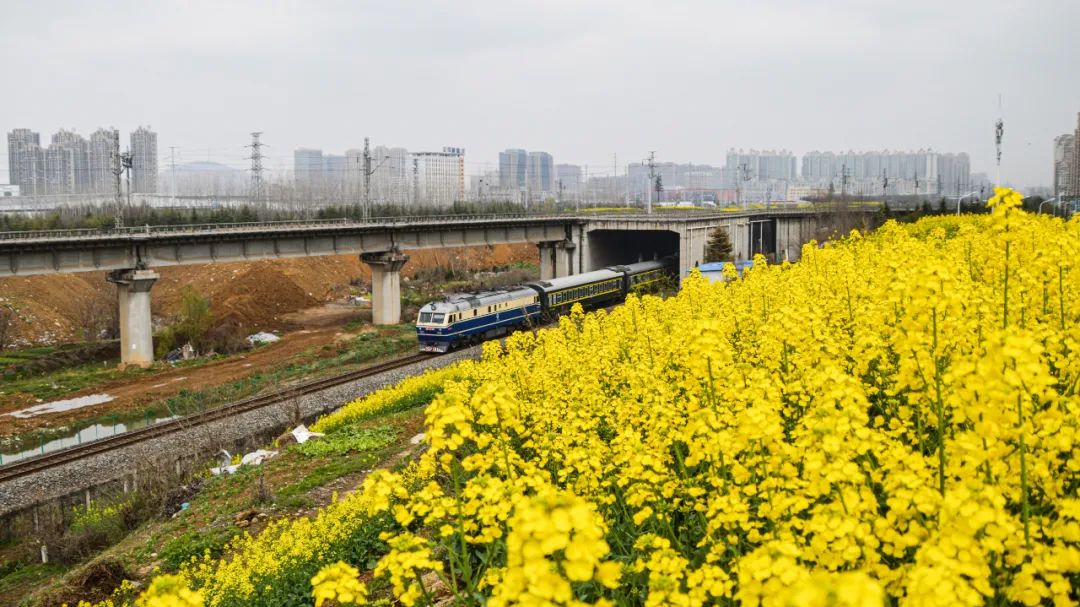 再见k歌翻唱,再见k歌伴奏