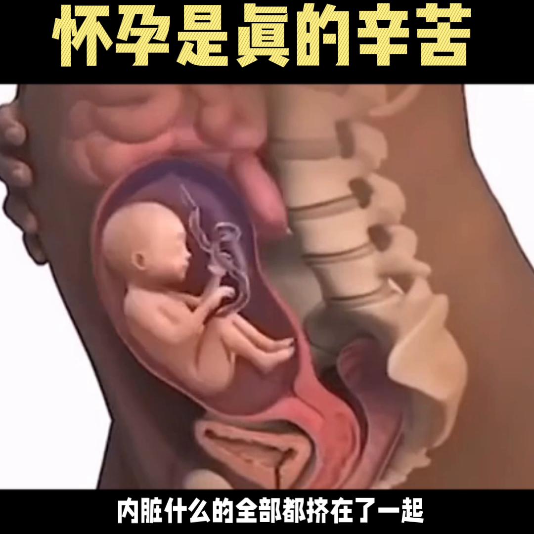 怀孕要准备的孕妈的东西,超全整理怀孕每周孕妈要做什么