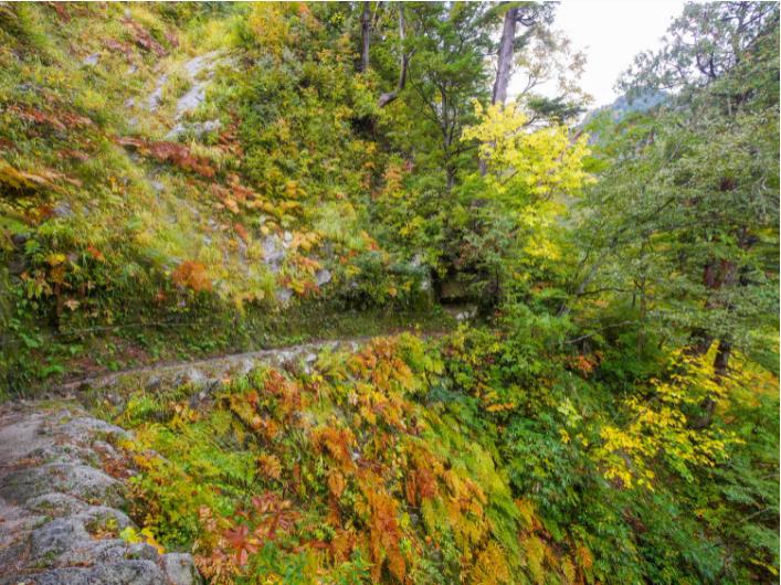 露营洗澡解决方案,晚上露营热怎么办