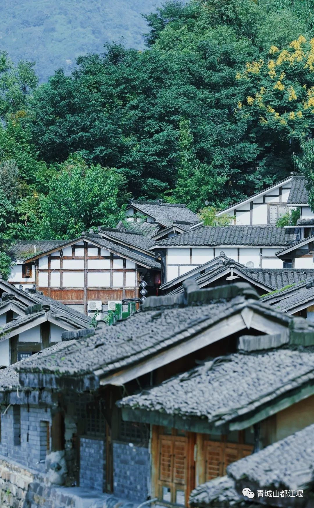 好玩的地方都江堰,来到都江堰晚上好耍的地方