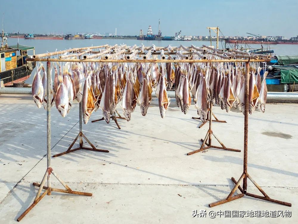 咸鱼最火地图,闲鱼攻略图