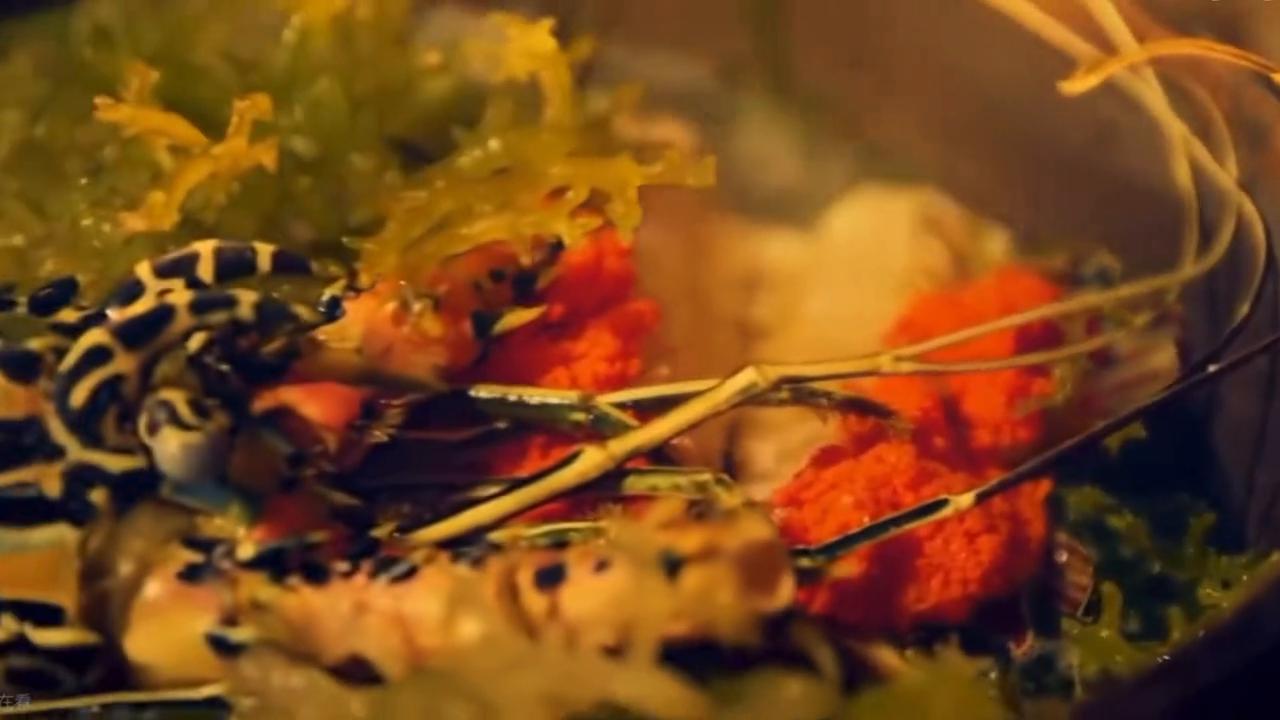 我在马来西亚的普拉提瓜岛，找到了一个清澈的小水坑