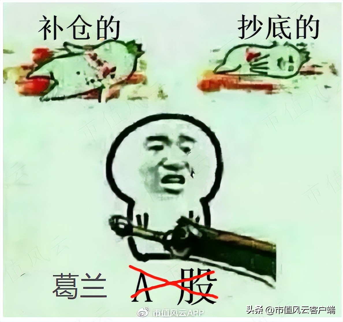 *哈梭**之王，赌性坚强，1“兰”=126“爽”!中欧基金造神，葛兰塌房