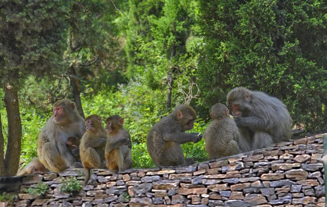 通天峡国潮汉风节福利来啦,通天峡国庆预售福利