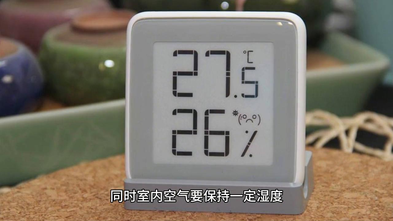 肺气肿怎么预防肺功能下降,肺气肿冬天吃什么食物最好