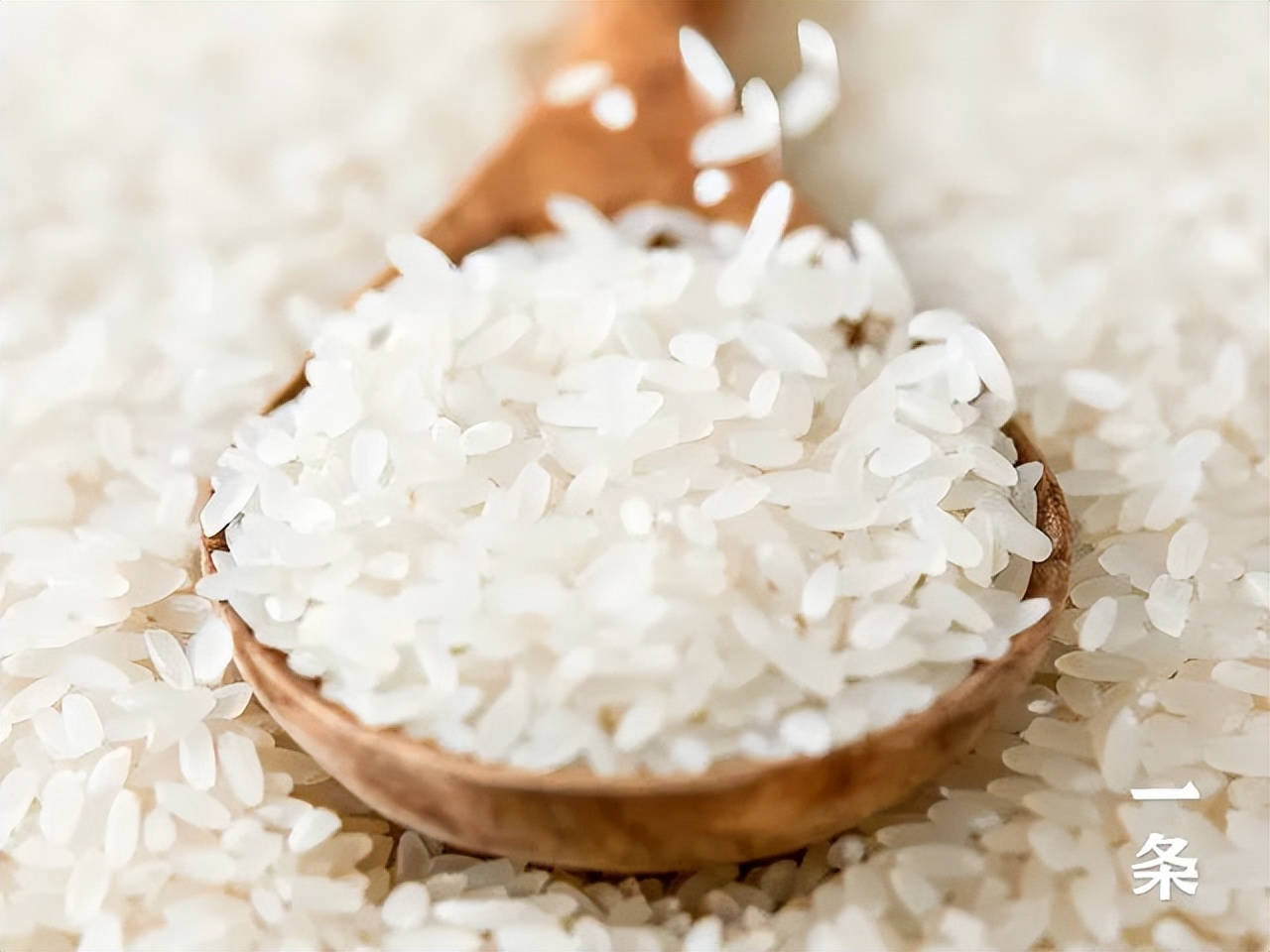 只封4天为什么要囤货,这次解封后到底要不要囤东西