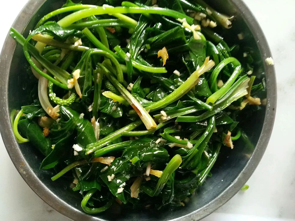 车前草的特产,车前草哪里有