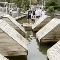 出租车司机锐评峰子招嫖