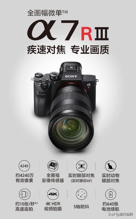 拍鸟用尼康d6好还是z7ii好,拍鸟买r6还是r5