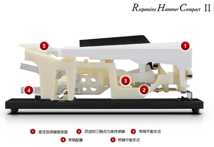 5千左右天津买什么电钢琴好？天津电钢琴价格
