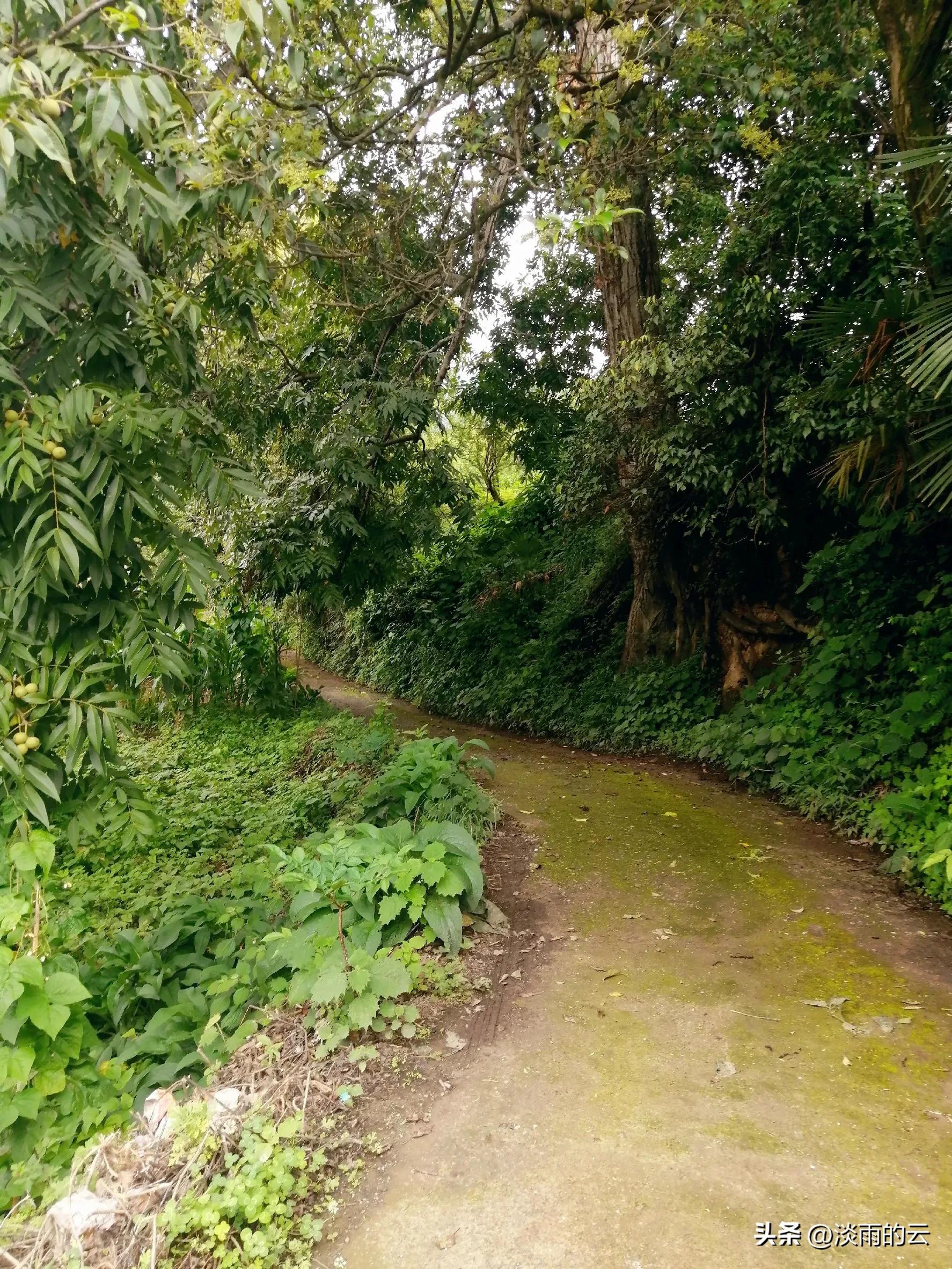 二舅妈的后家军（随身微小说1）