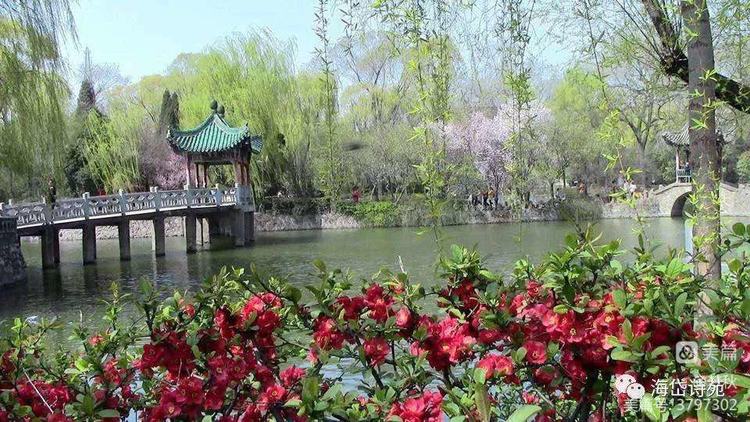 《百花美文》2022年第七期，总第八十八期