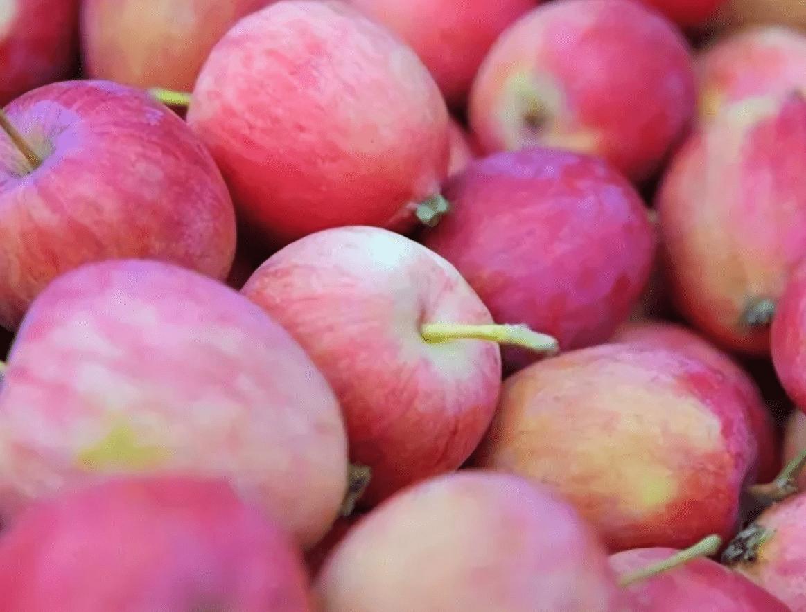 苹果在中国古代叫什么名字,有趣的苹果名称古代