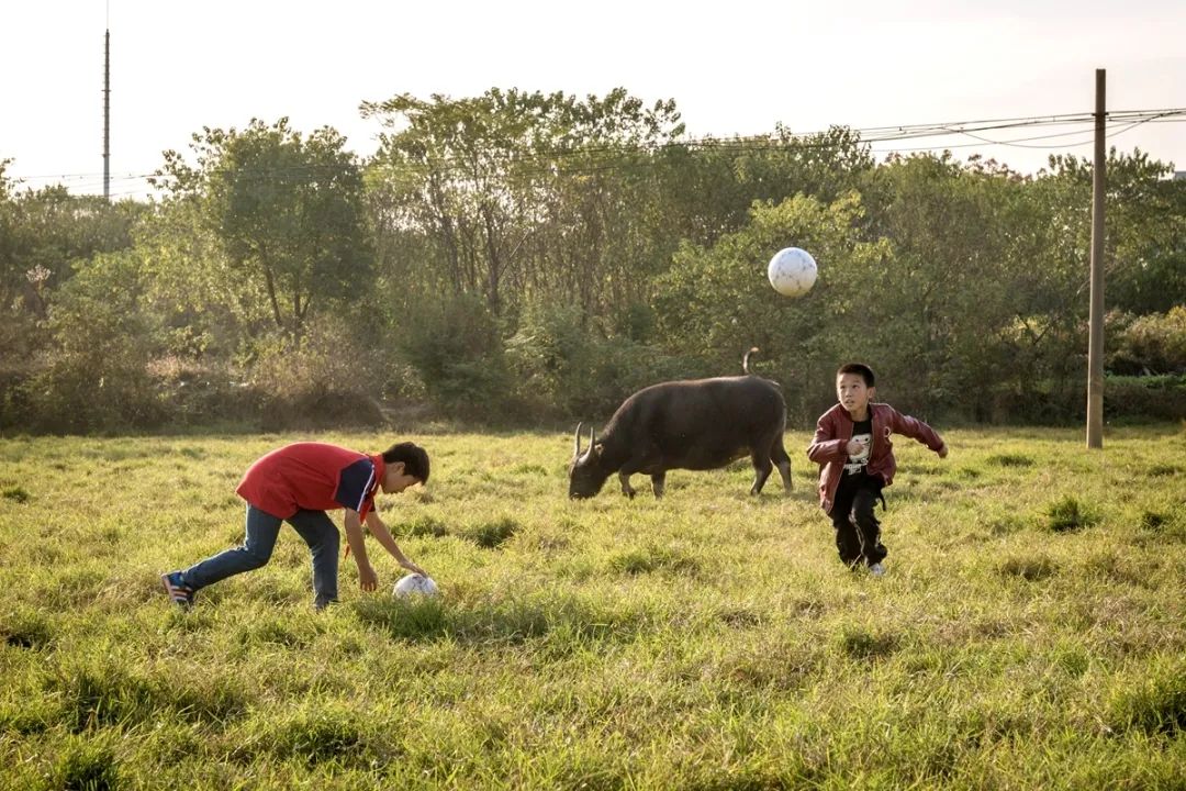 马骁国际艺术作品,马永辉摄影作品欣赏