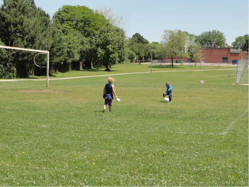 球星是什么,球星是怎么诞生的