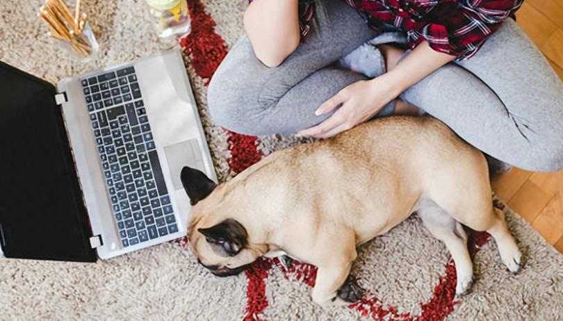 女子与狗狗共享生活，医院检查揭示令人惊讶的结果