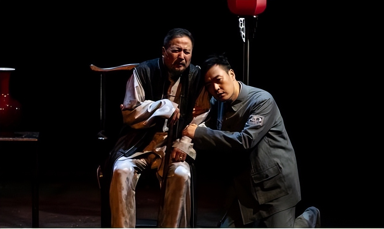 张桐华表奖,飞天奖视帝张桐的悲惨经历