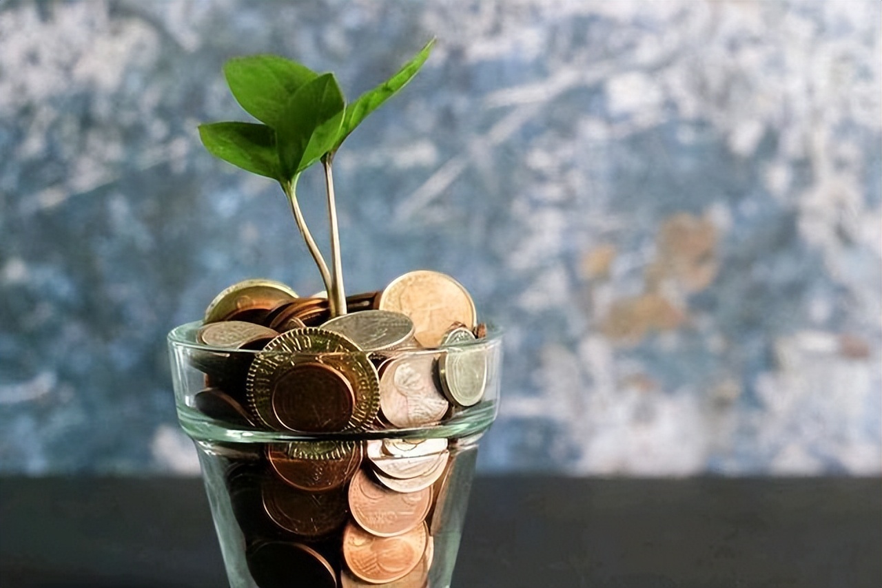 没人愿意干的暴利行业利润,10大暴利小行业利润