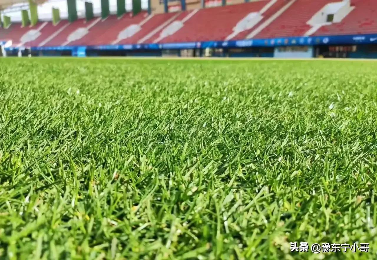 鍒湁蹇冭姝屾洸,鍒湁蹇冭