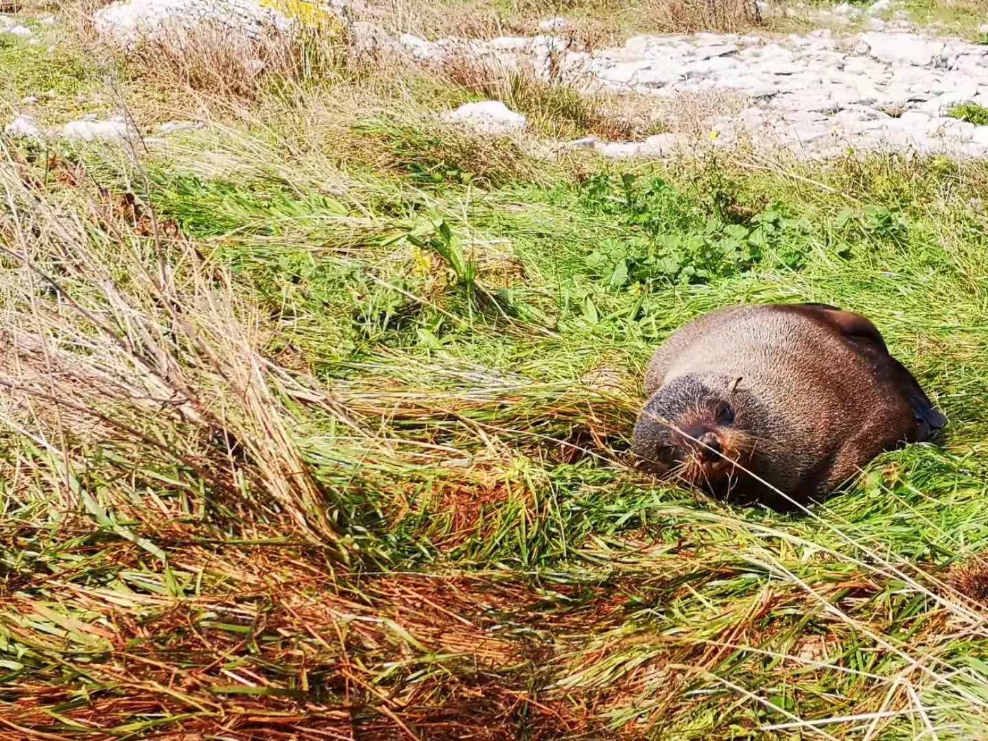 我为啥要娶一个小我10岁的法国女孩，是真爱吗