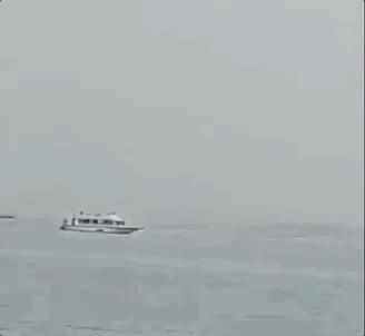 俄罗斯男子在海边被鲨鱼咬死,俄罗斯男子被鲨鱼咬死鲨鱼被捕