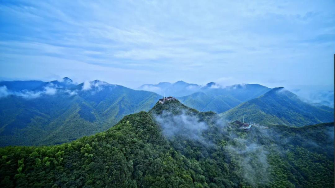 安吉白茶和天目湖白茶哪个更好,天目湖白茶溧阳富硒白茶