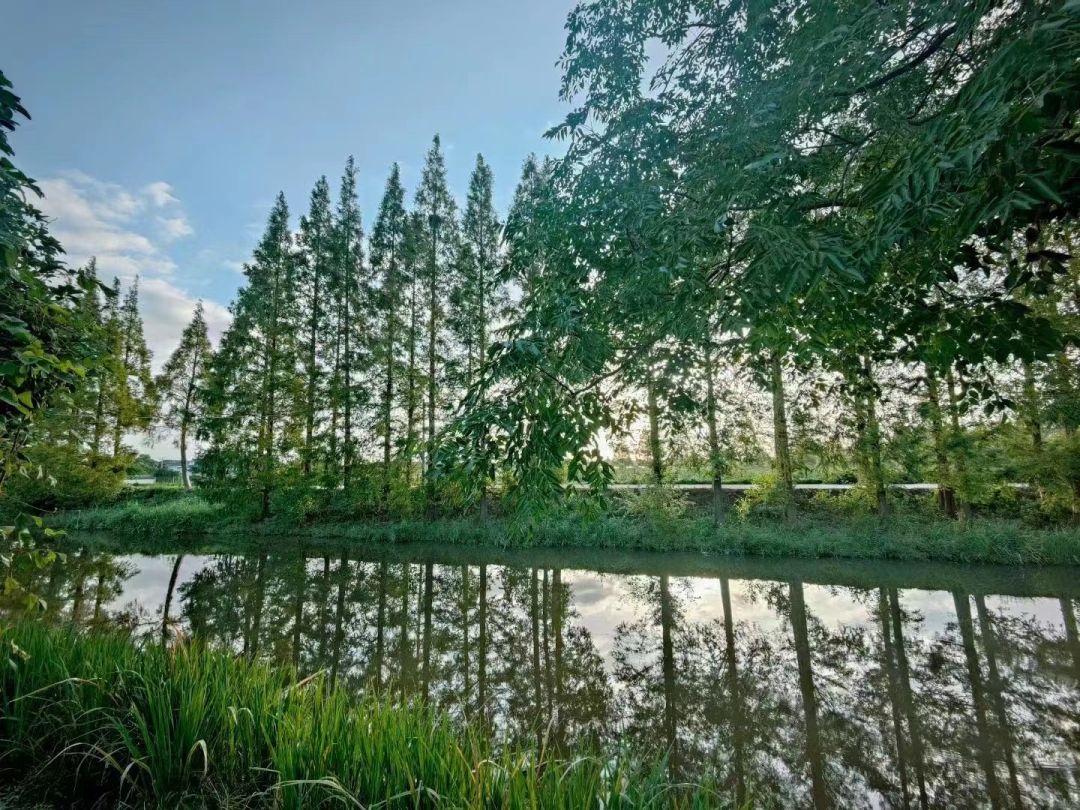 心动！那些藏在崇明民宿里的初秋小美好