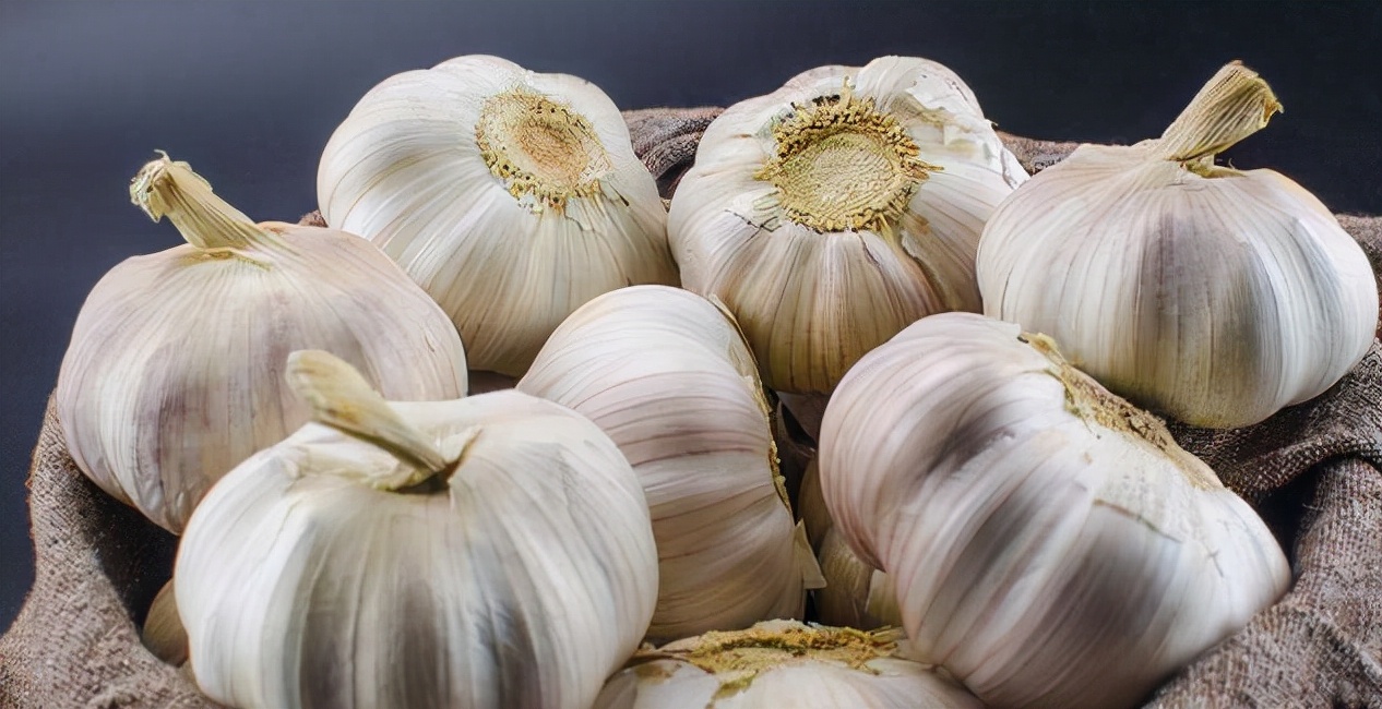 蛊是什么时候存在的,蛊到底是什么