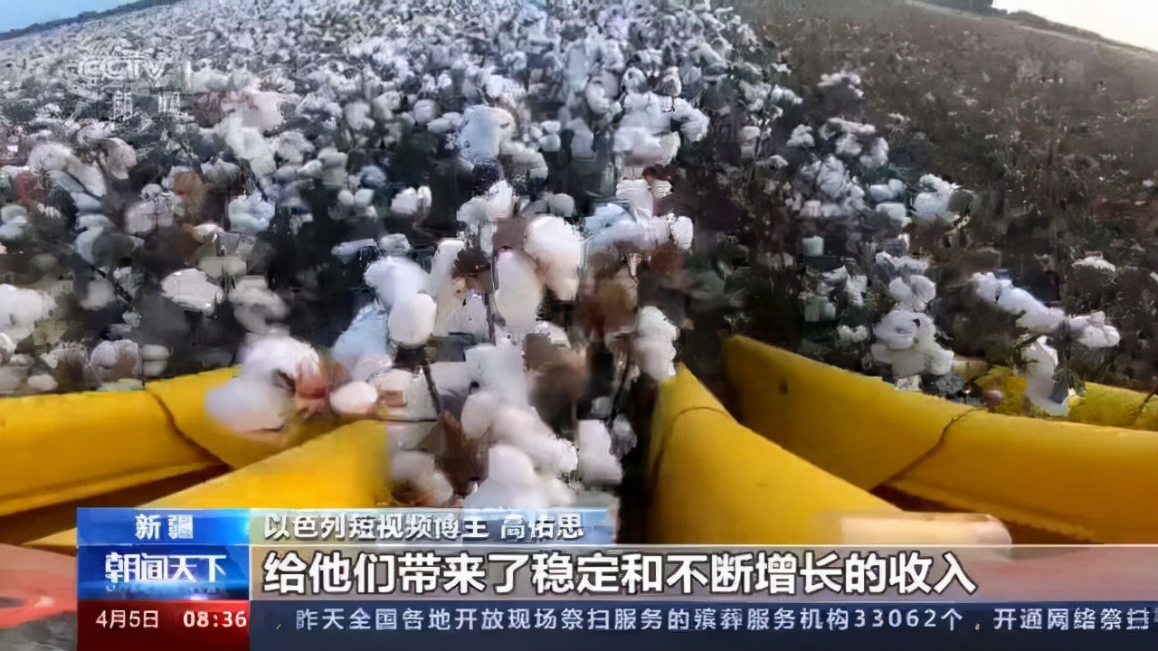 日媒采访的女游客,日媒采访日本女人