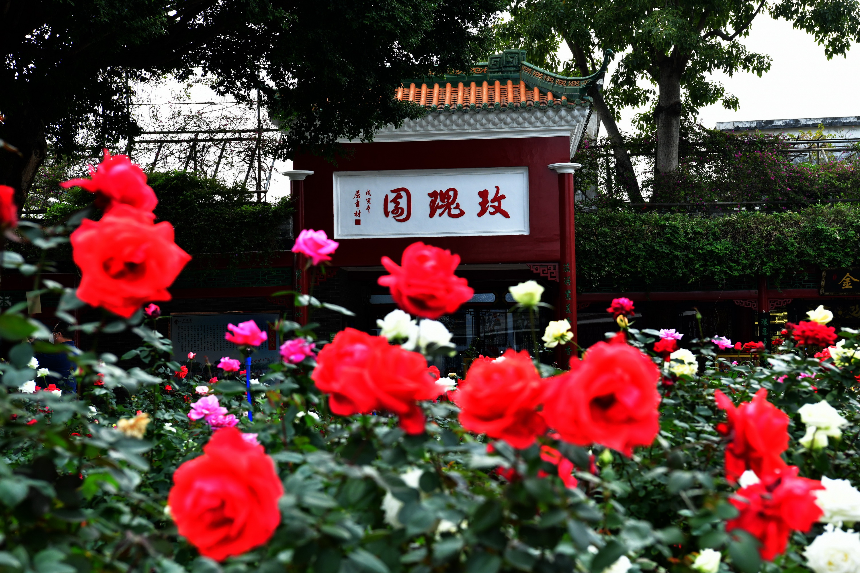 广州市番禺区宝墨园攻略,广州宝墨园景观