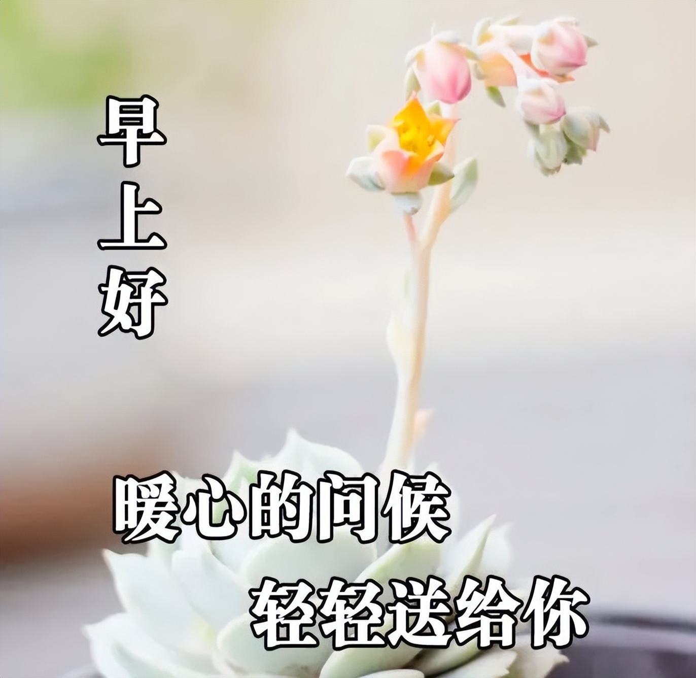 问候语祝福朋友的句子暖心,问候祝福朋友开心快乐的温馨句子