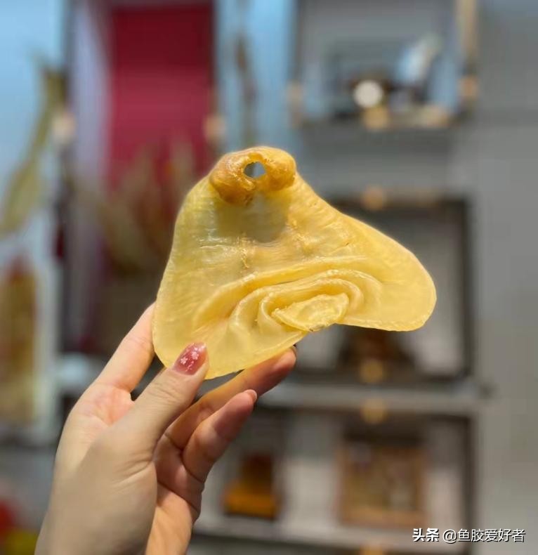 买哪种鱼胶值得收藏,不建议入手的鱼胶