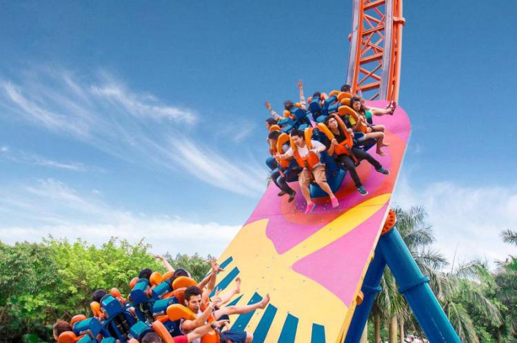 住野趣C位-广州长隆酒店！含高级客房+童趣乐园+广州长隆园区门票