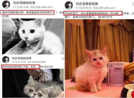 最有钱女明星刘亦菲,刘亦菲秀名贵翡翠大耳环