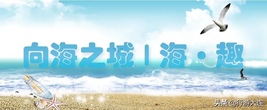 面朝大海，露营自由！5大营地，大连人独有的小欢喜来了