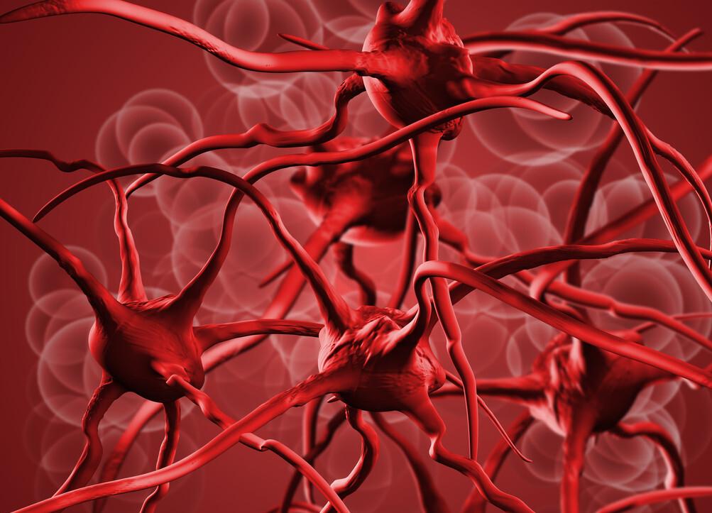 贫血要补铁还有什么,贫血要补什么啊