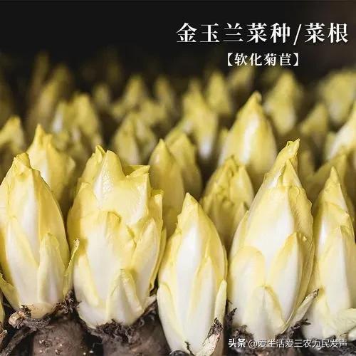 投资小适合农村的创业项目有哪些,最有前景的10个农村创业项目