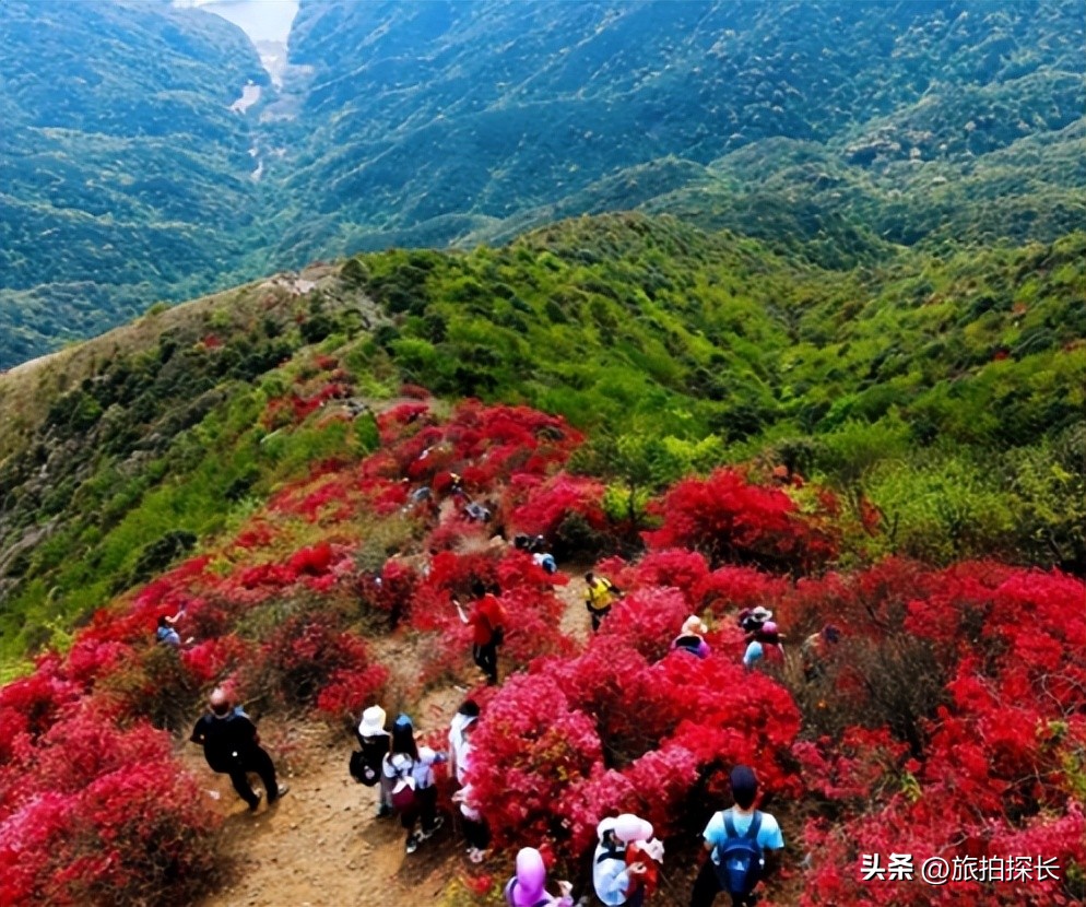 广州从化太平最高的山,从化最著名四座山峰