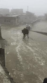 网恋奔现大型翻车纯属尴尬,网恋奔现兄弟们这算翻车吗