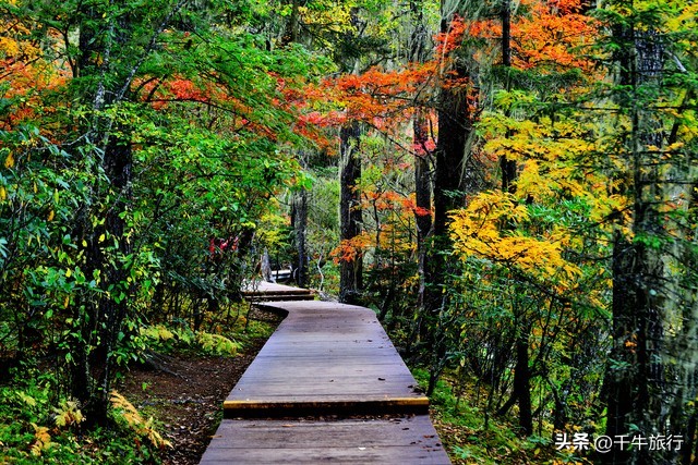 云南10个神奇景点攻略,云南丽江打卡必去景点