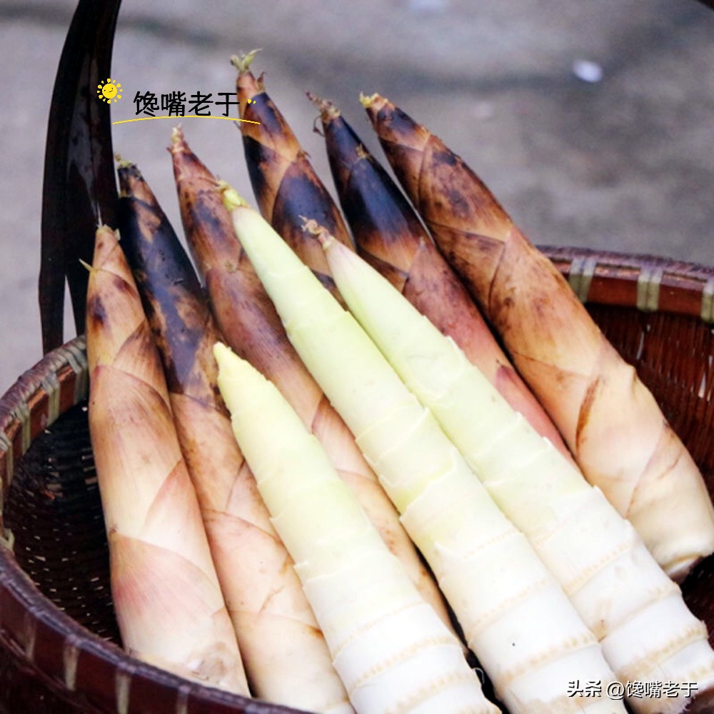 春笋几月份能买到,春笋应该买哪一种