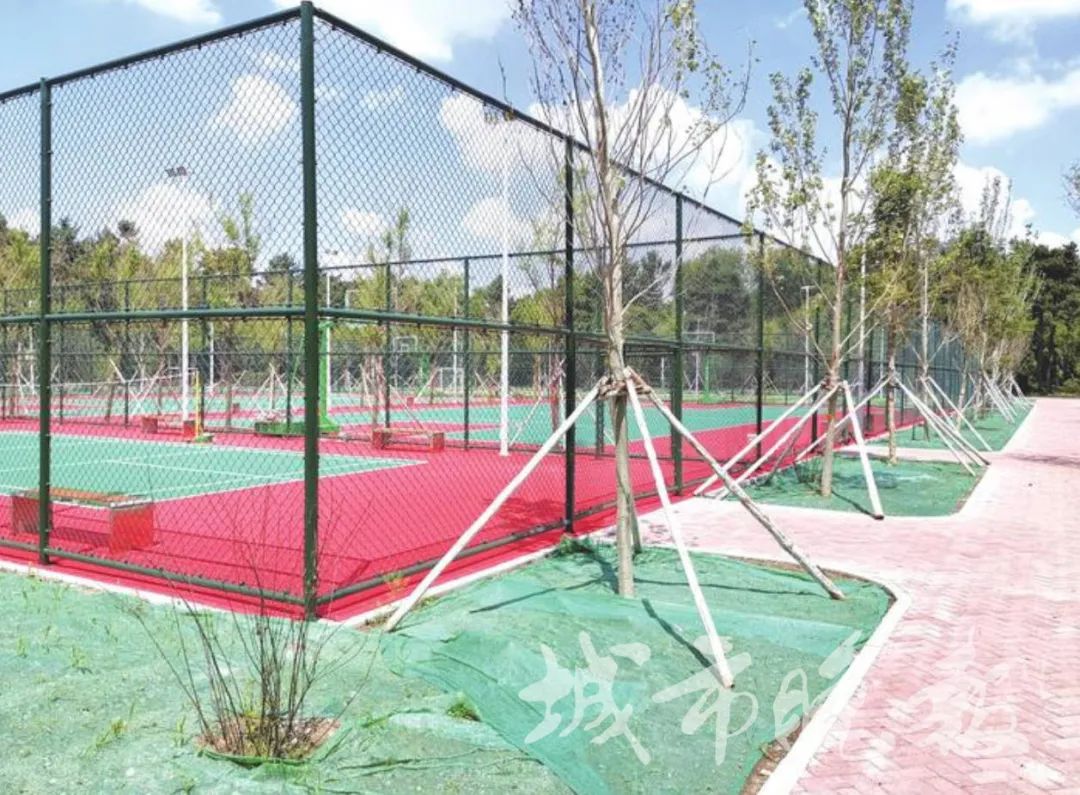 长春南湖公园跑马场改造最新进展