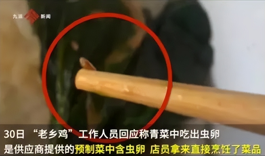 老乡鸡是怎么做品牌推广的,老乡鸡营销团队是哪家