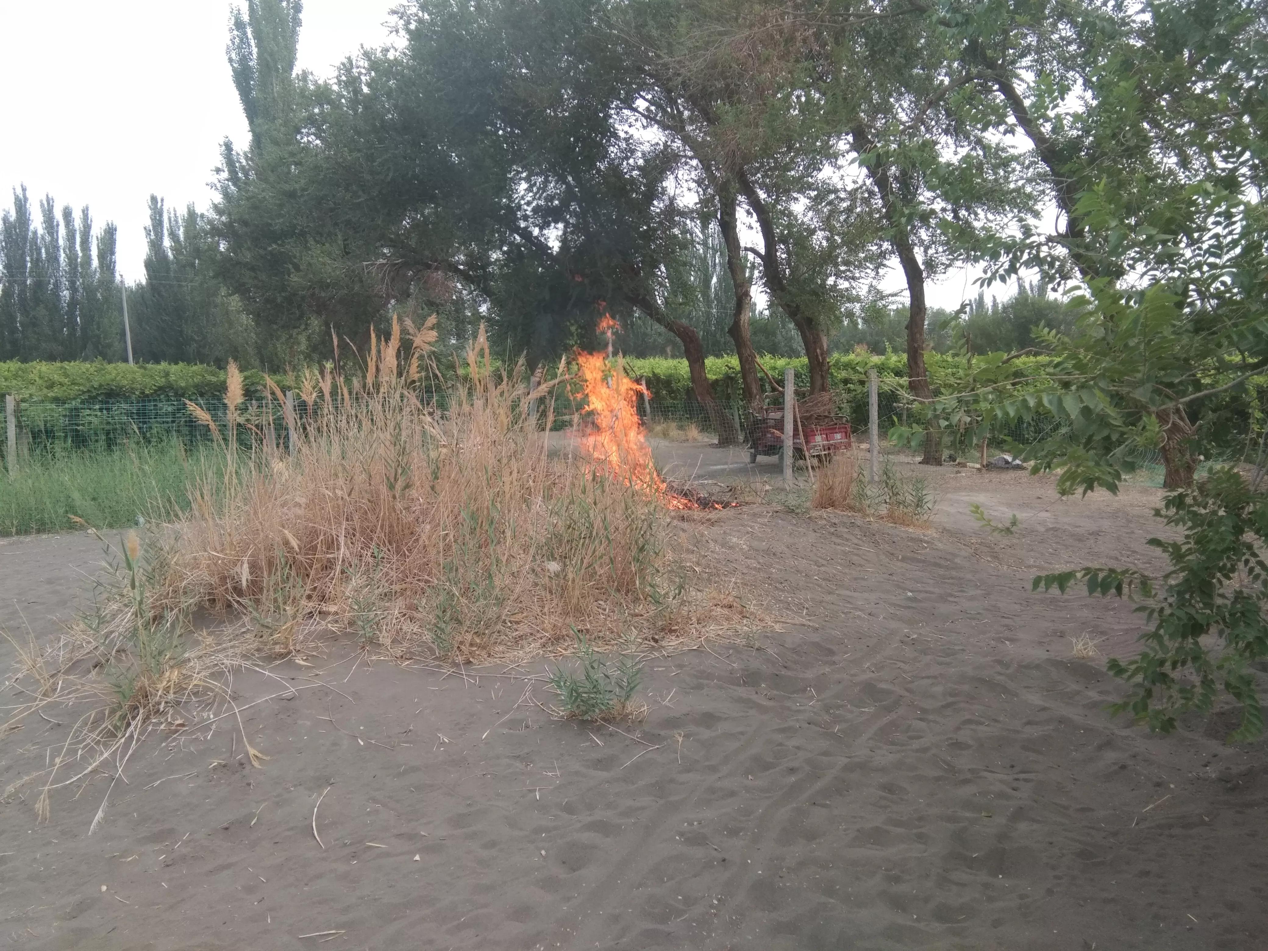 吐鲁番高温埋沙记——来了一位脸蛋红扑扑的甘肃美女