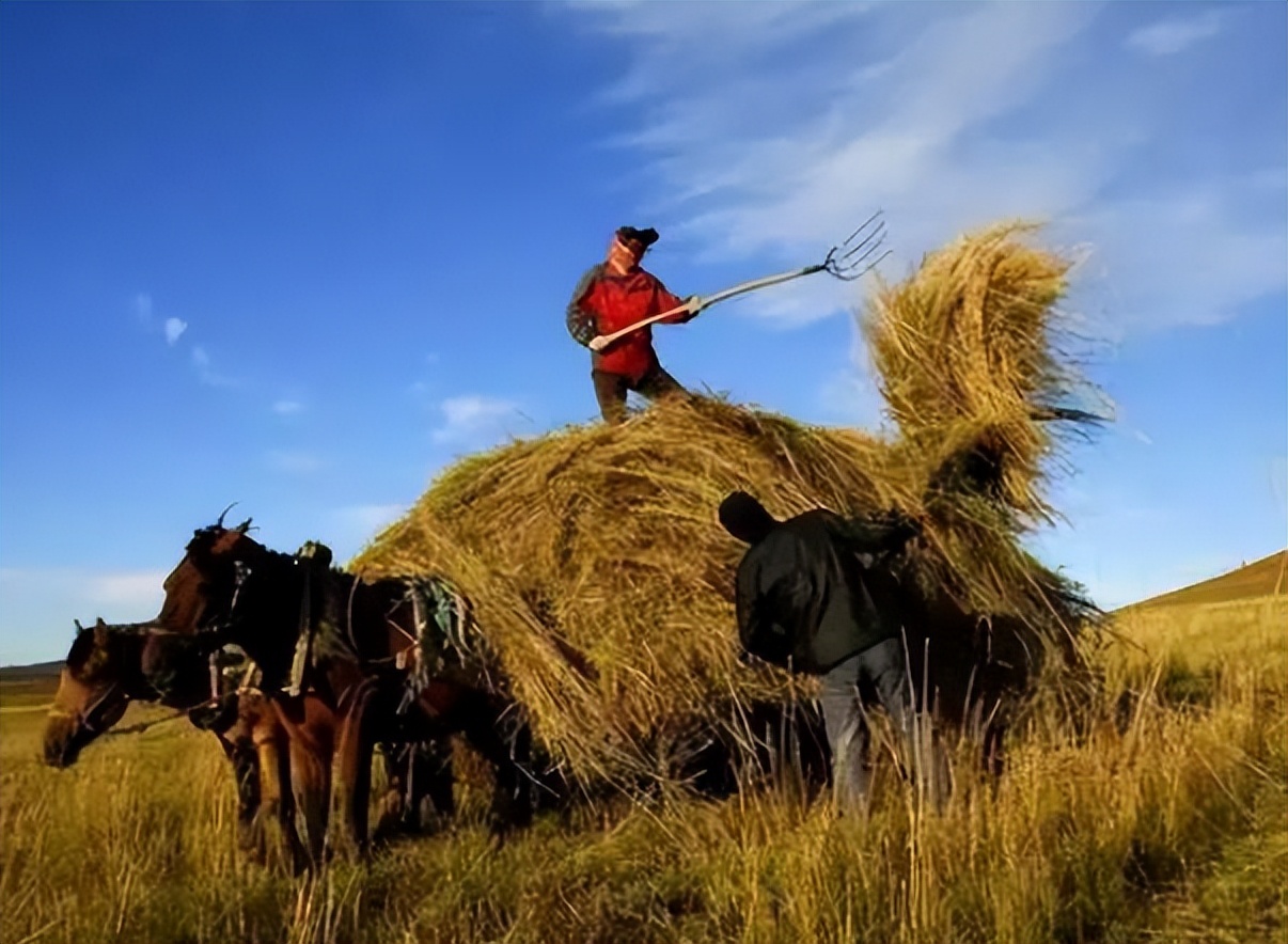 勤劳能致富吗视频,勤劳不能致富聪明才能致富